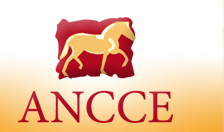 ANCCE reclama que se aplique el IVA reducido a las transacciones de caballos