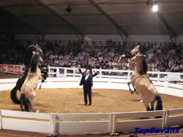 Fira del Cavall Cambrils 2010