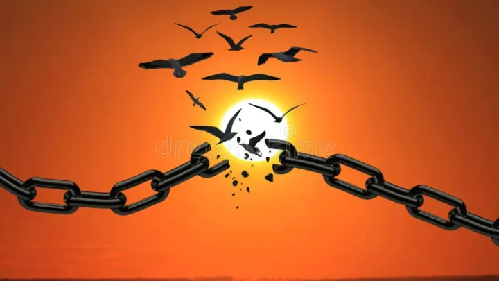 La felicidad implica tener libertad